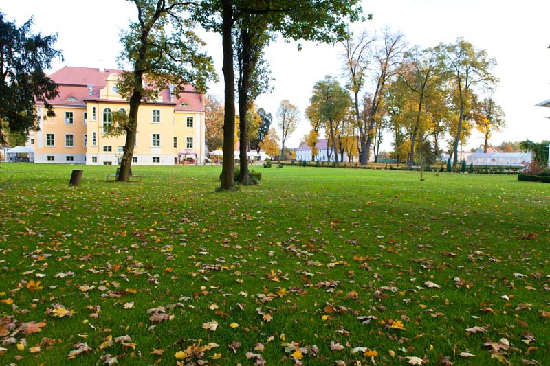 Trawniki z rolki - rozwiązanie idealne